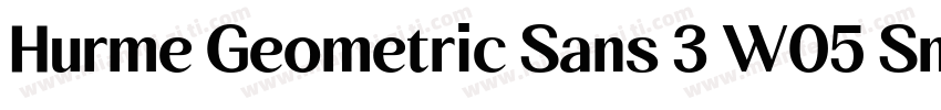 Hurme Geometric Sans 3 W05 SmBd字体转换